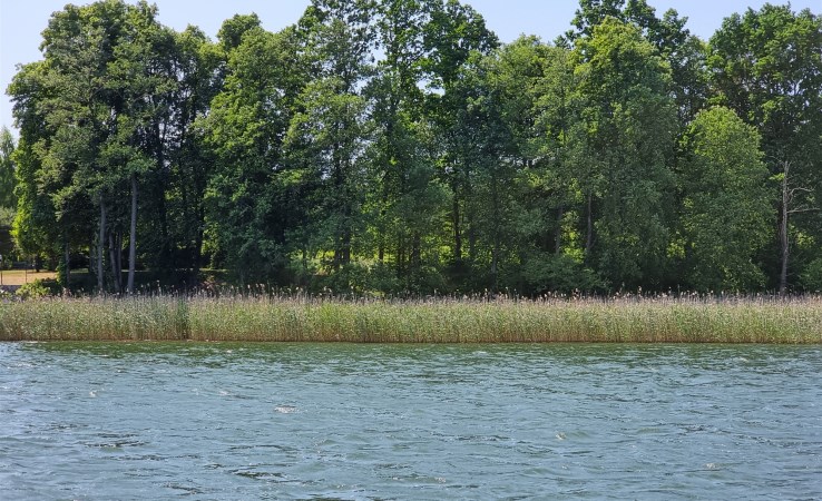 działka na sprzedaż - Ruciane-Nida (gw), Iznota, Kamień